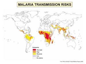 Figure 4: The worldwide distribution of malaria transmission risk