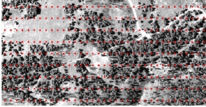 Figure 3: Example of extensive HyperPerspectves ground truth collection