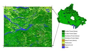 Sample EOSD land cover classification product